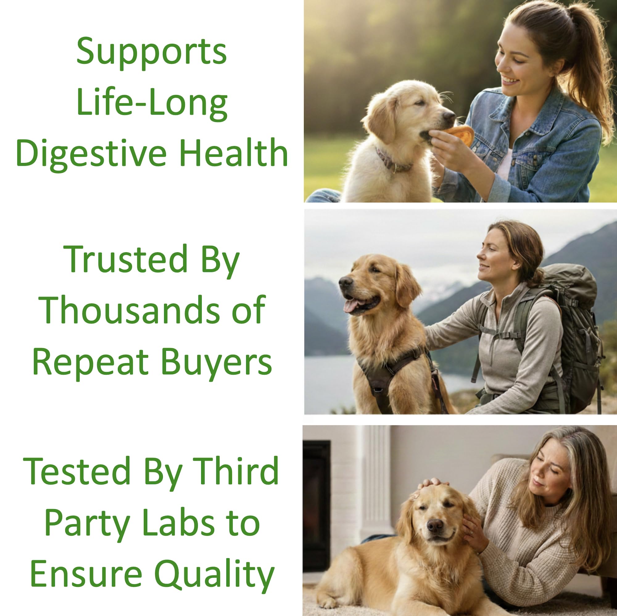 Unflavored TummyWorks powder that blends seamlessly with pet food.