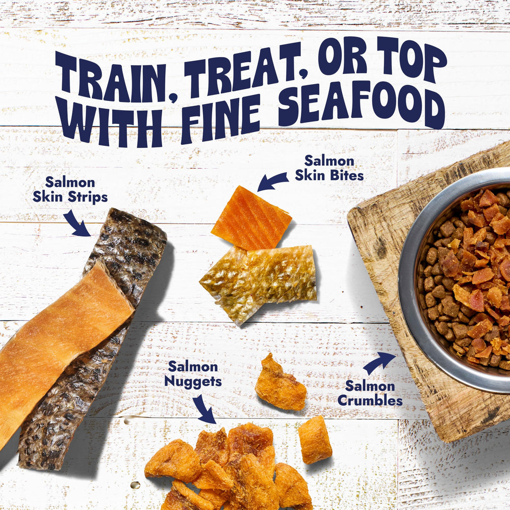 Sashimi-grade salmon in Finfare treats for premium, pure dog chews.