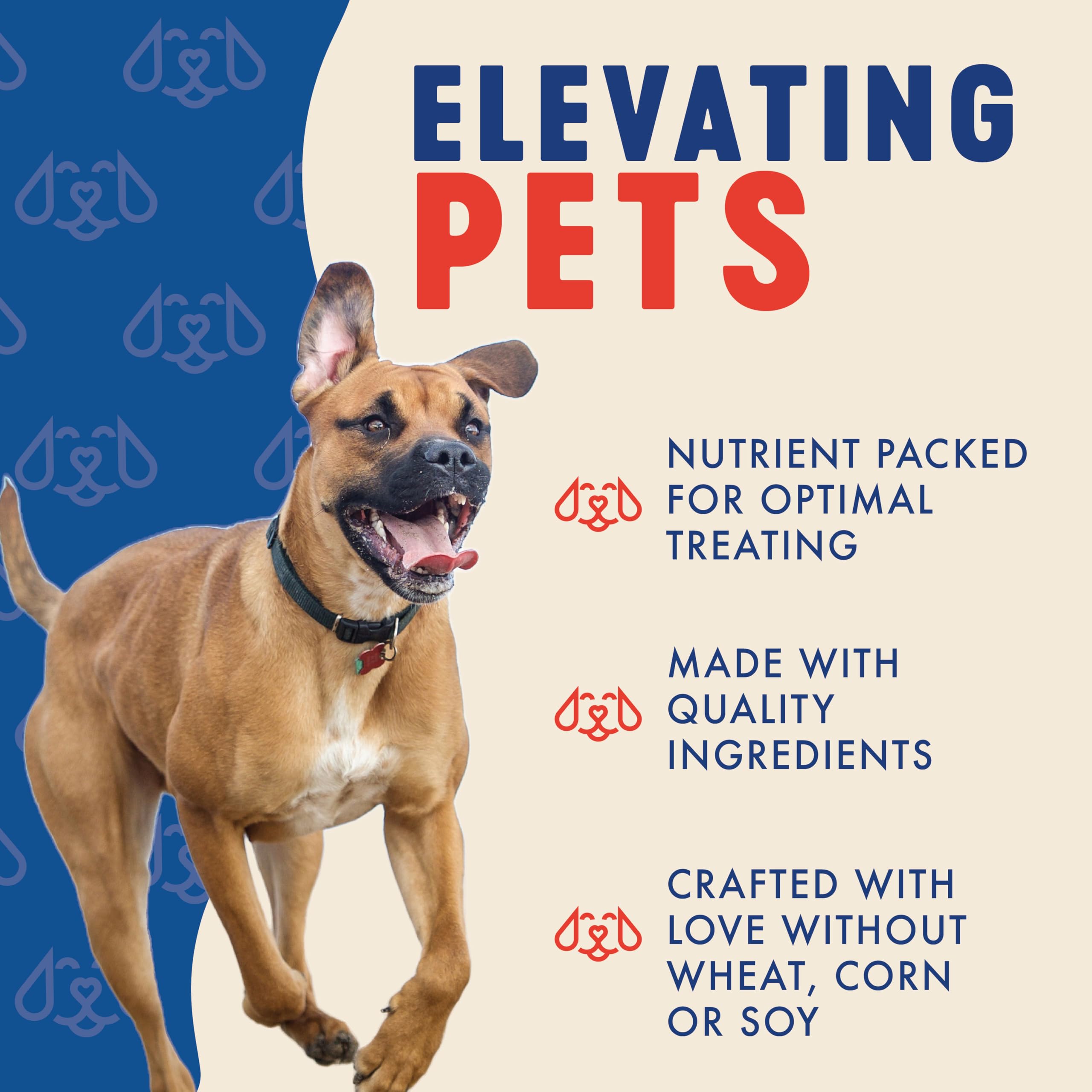 Finley's Crunchy Dog Biscuits dog enjoying treat during enrichment or walk.