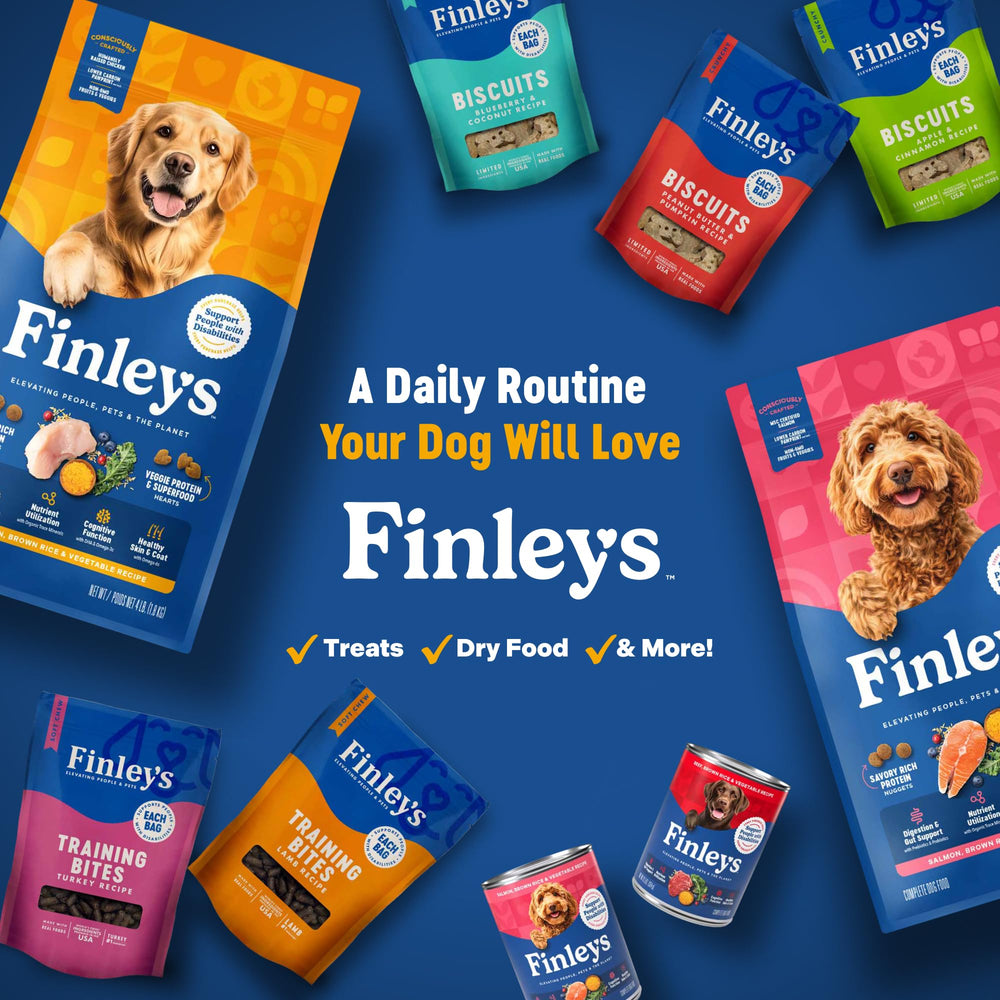 Finley's serving-can-topper-kibble setup demonstrates a practical meal topping option.