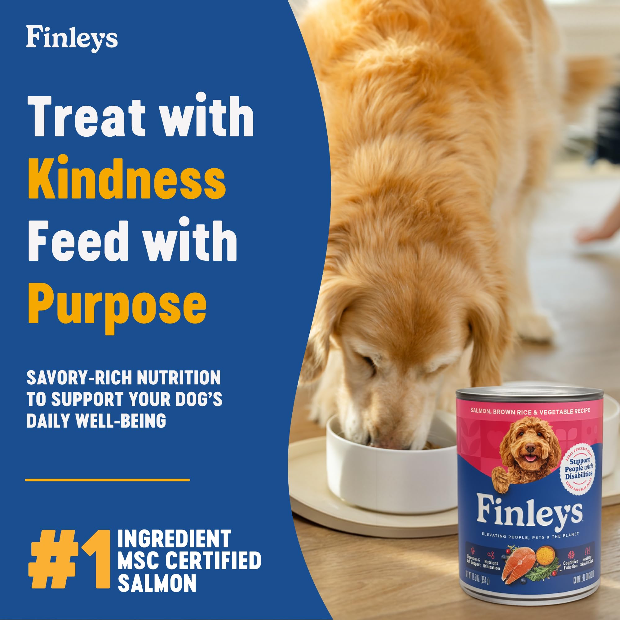 Finley's wet-dog-food-salmon-brown-rice-pate shows creamy texture for picky eaters.