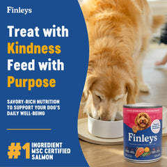 Finley's wet-dog-food-salmon-brown-rice-pate shows creamy texture for picky eaters.