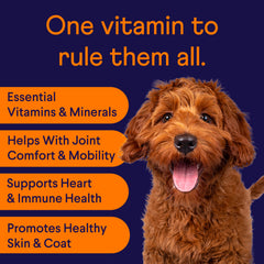 Close-up of Finn All-in-1 soft chews supporting tasty nutrition