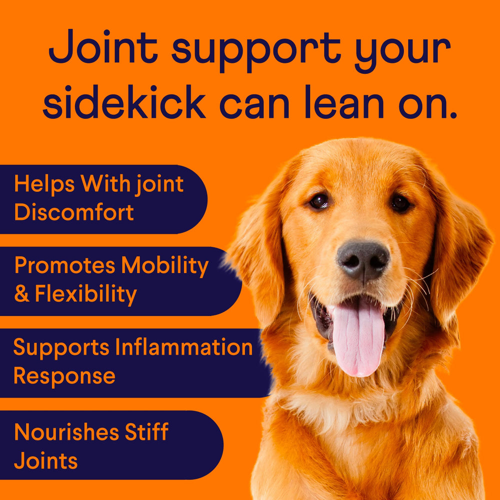 Finn Hip and Joint label close up shows turmeric and natural ingredients.