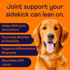 Finn Hip and Joint label close up shows turmeric and natural ingredients.