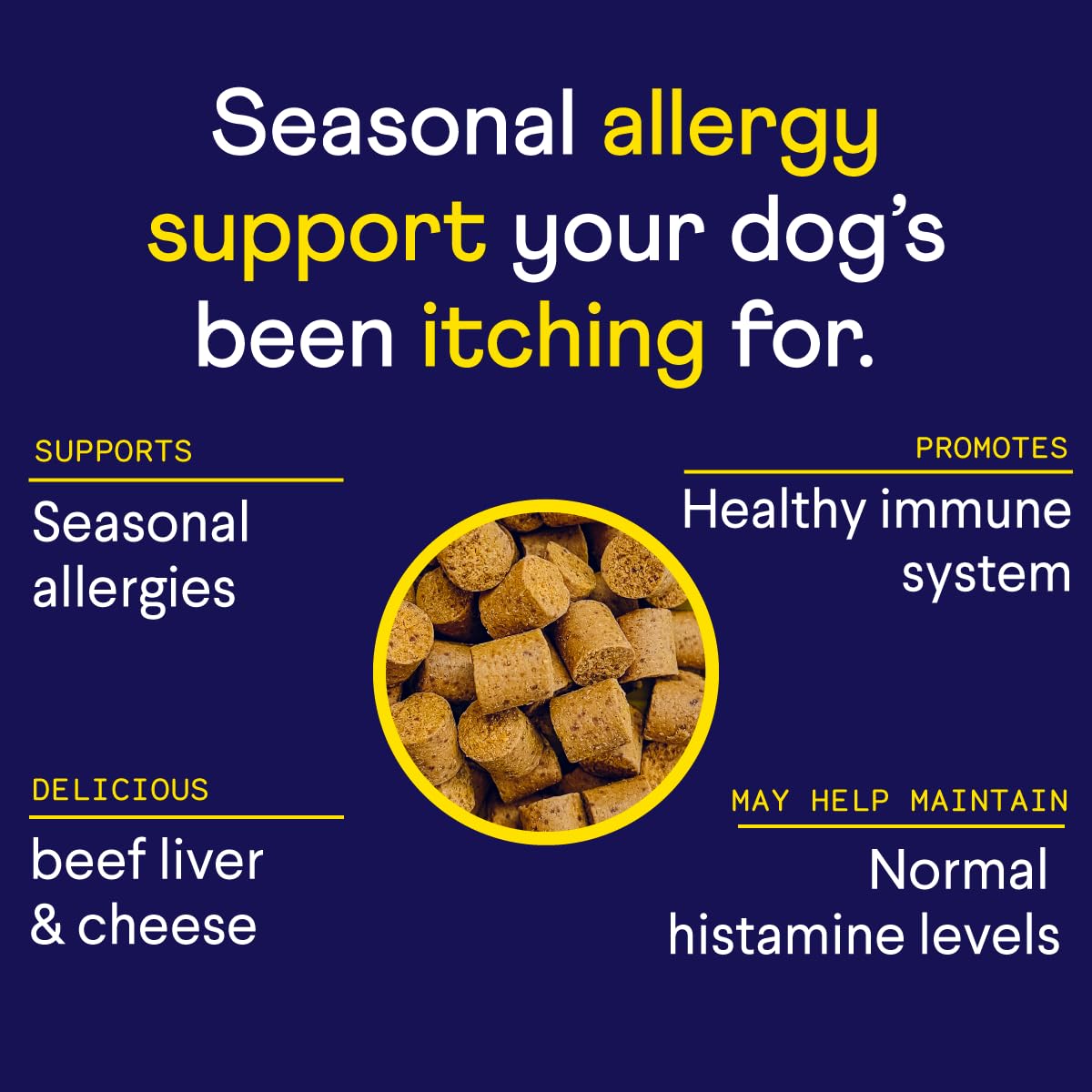 Finn daily supplement tub highlights ready-to-chew chews for healthy skin and coat.