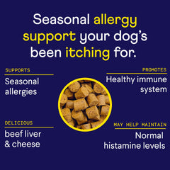 Finn daily supplement tub highlights ready-to-chew chews for healthy skin and coat.
