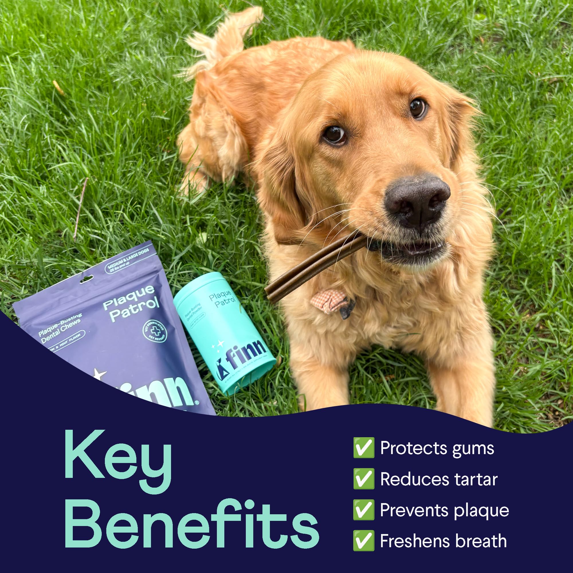 Finn Dental Powder for Dogs with scooping spoon, convenient daily dental care for pets.