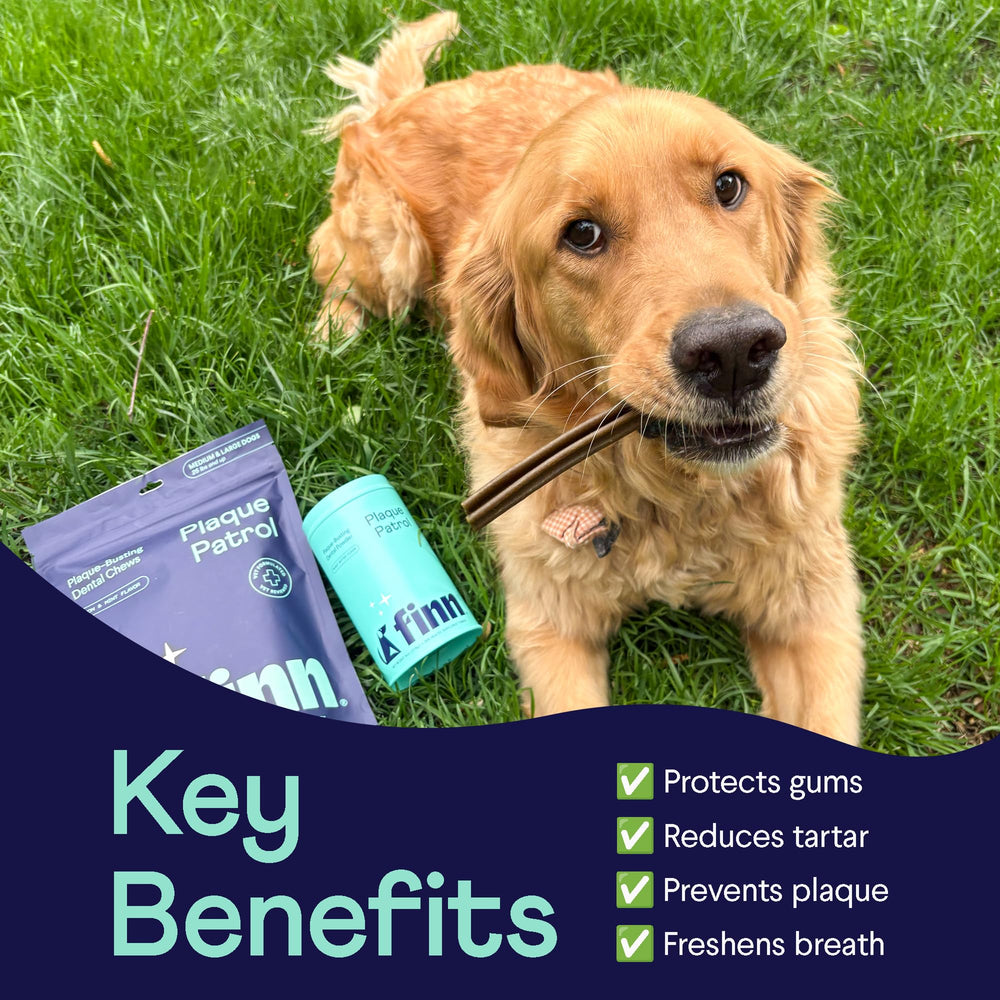 Finn Dental Powder for Dogs with scooping spoon, convenient daily dental care for pets.