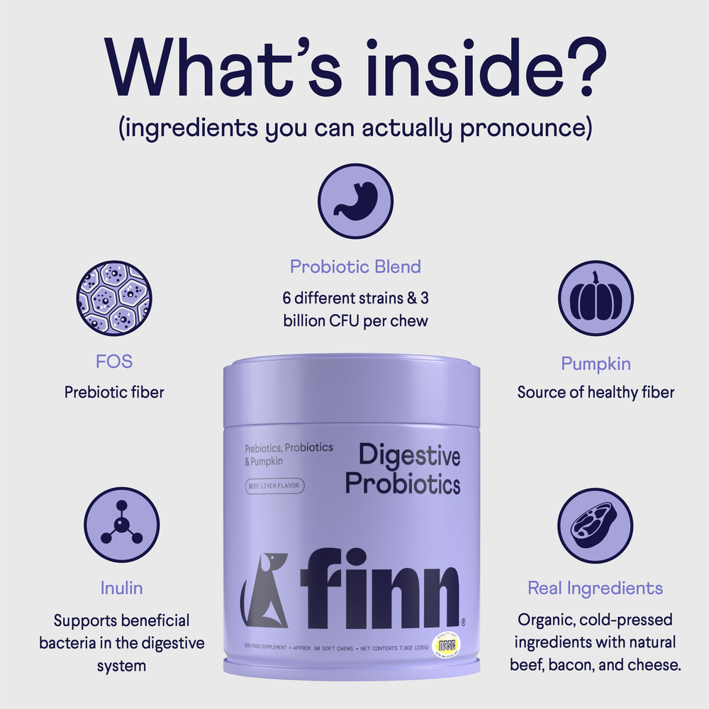 Finn Digestive Probiotics for Dogs pumpkin chunks highlight fiber and gut support