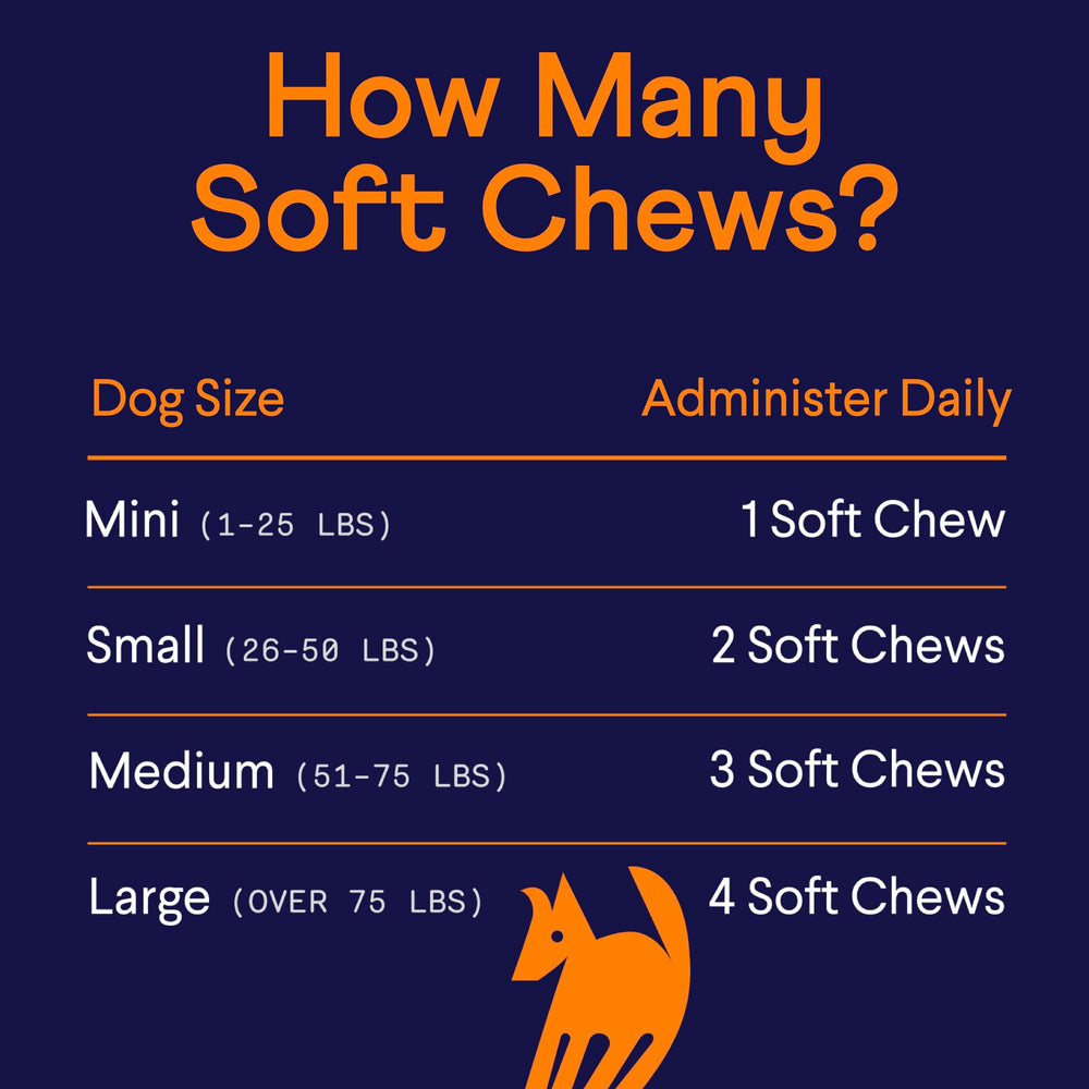 Finn Hip and Joint helps active dogs maintain daily movement and joy.