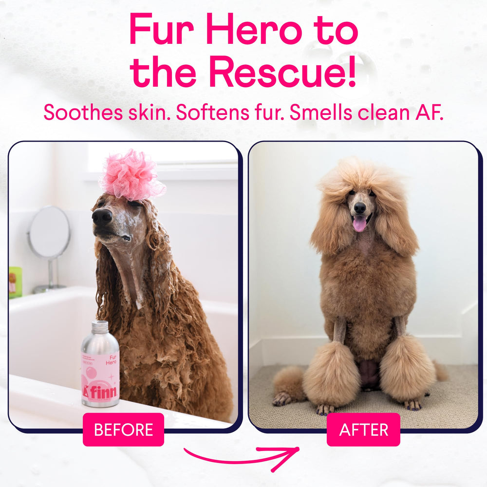 Finn Fur Hero ingredients-scene: oatmeal and chamomile for soothing relief
