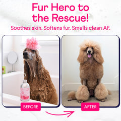Finn Fur Hero ingredients-scene: oatmeal and chamomile for soothing relief