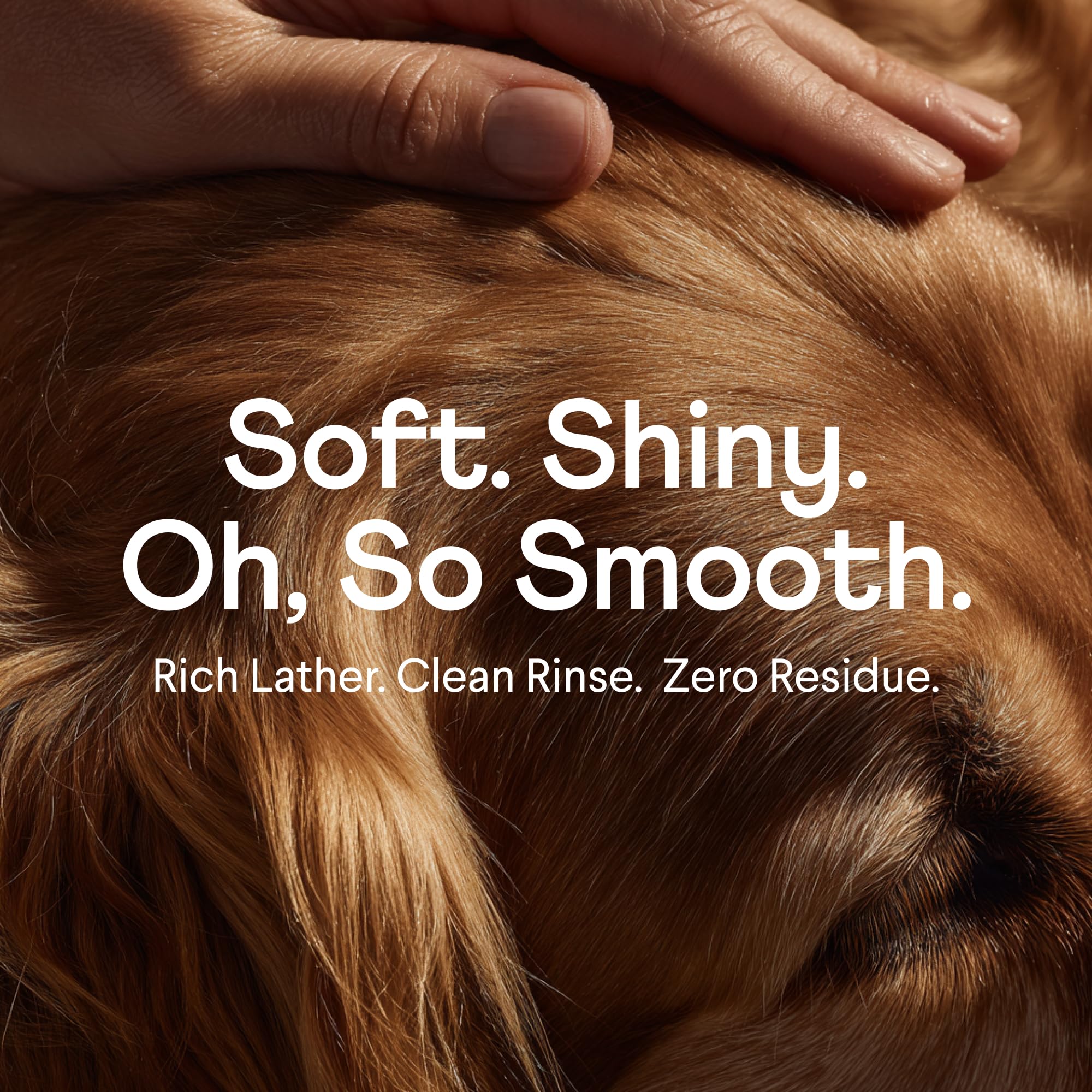 Finn Fur Hero silky-coat-after-wash: plush, residue-free fur
