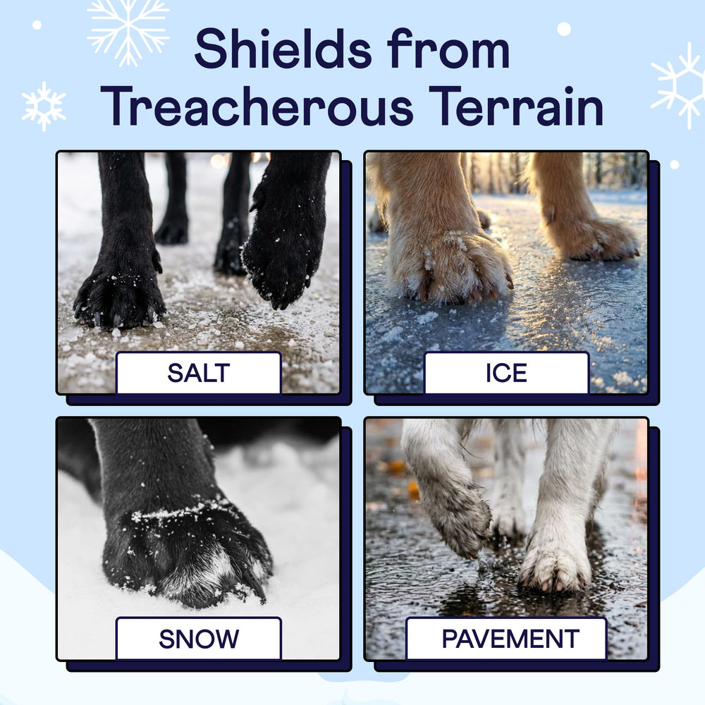 Finn Paw Hero aloe and chamomile soothing rough pads during chilly walks
