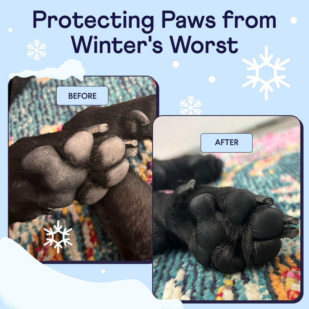 Applying Finn Paw Hero on a dog's paw for a smooth protective layer