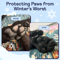 Applying Finn Paw Hero on a dog's paw for a smooth protective layer