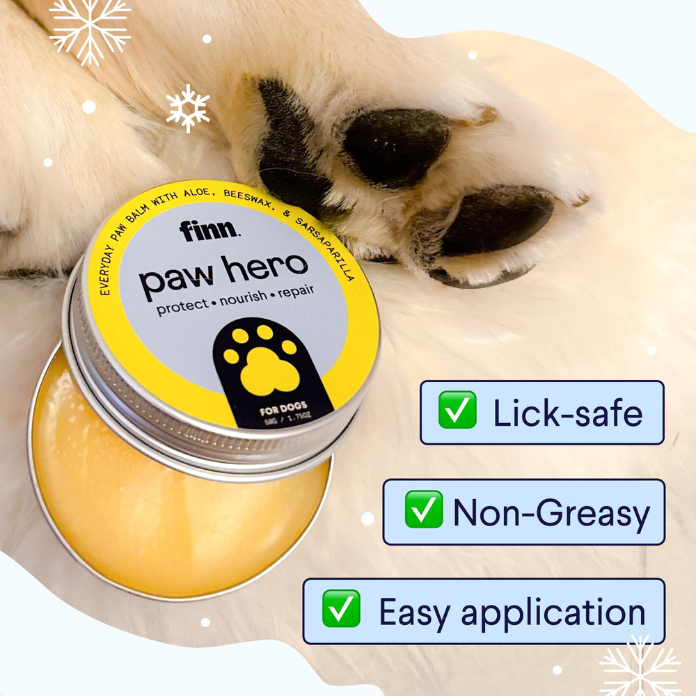 Finn Paw Hero shields paws against salt and ice