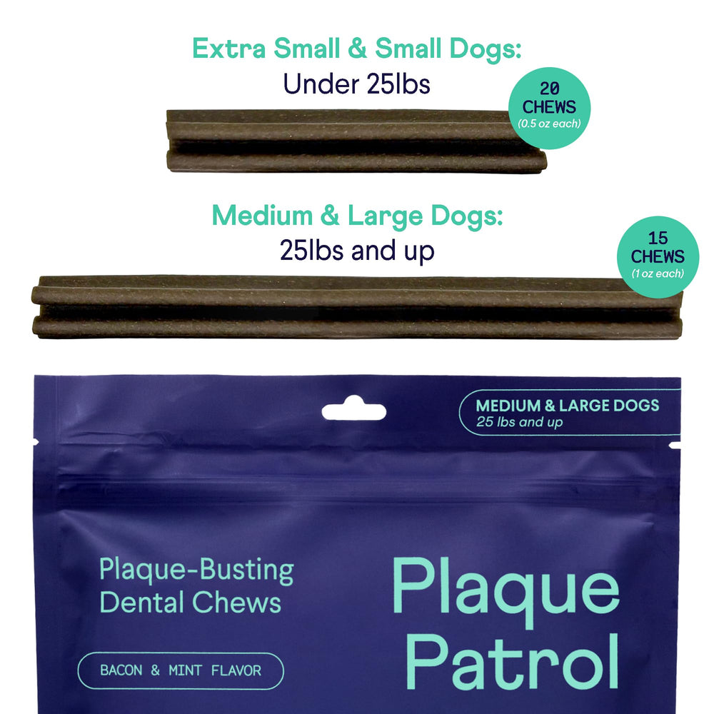 Finn Plaque Patrol dental chews chew time during playtime with a happy dog.