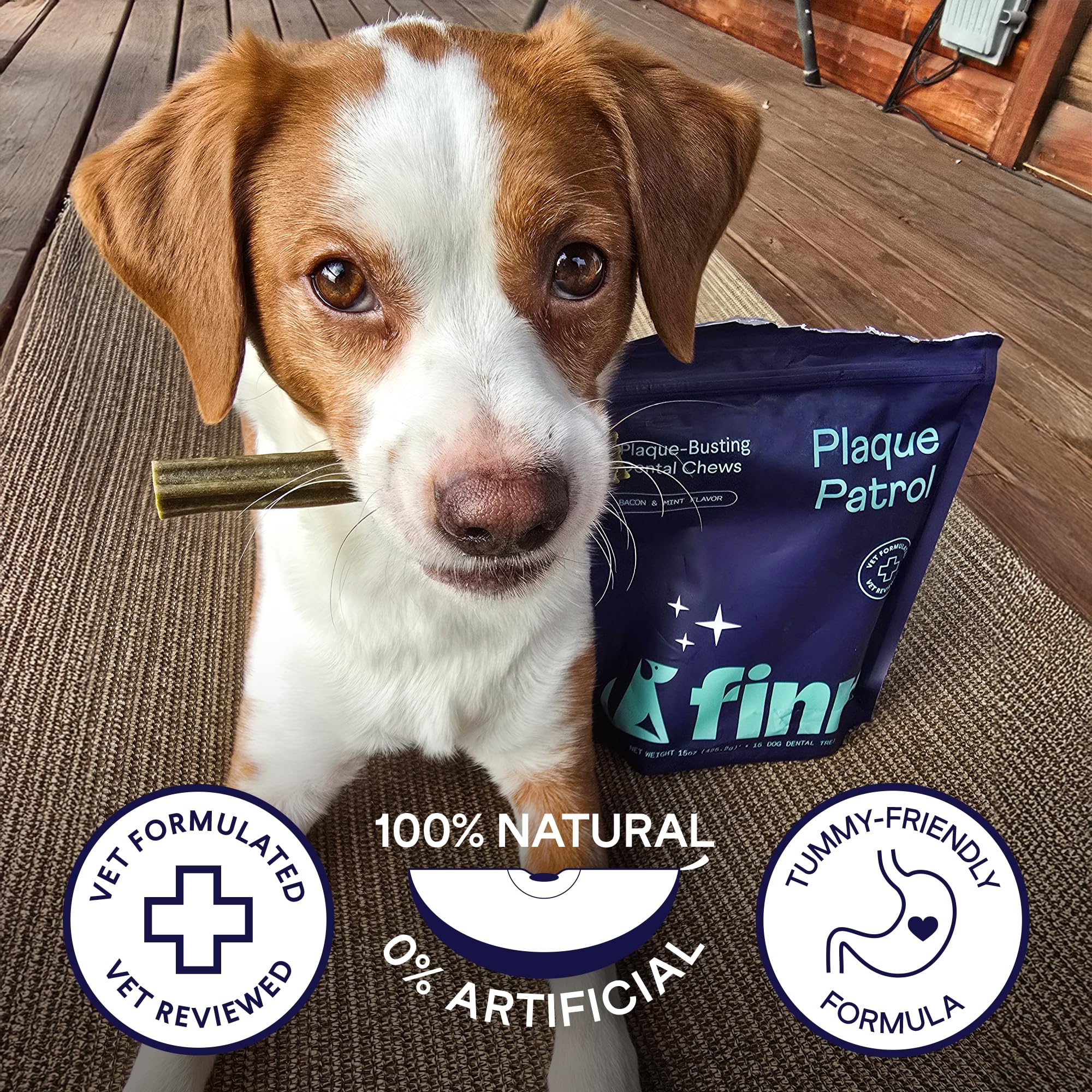 Finn Plaque Patrol dental chews ideal for small dogs and XS/S sizes.