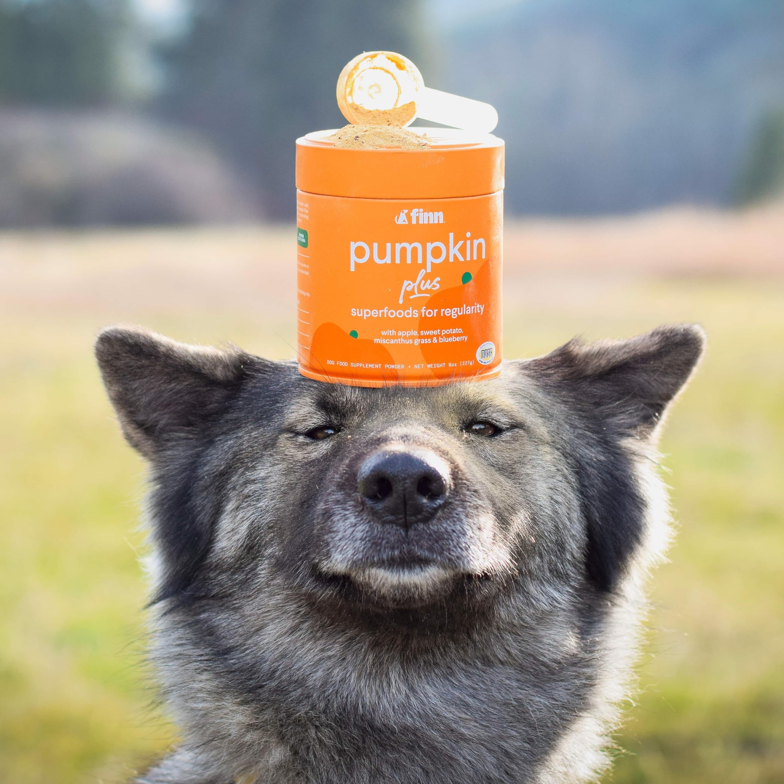 Finn Pumpkin Plus NASC-certified, USA-made quality you can trust.