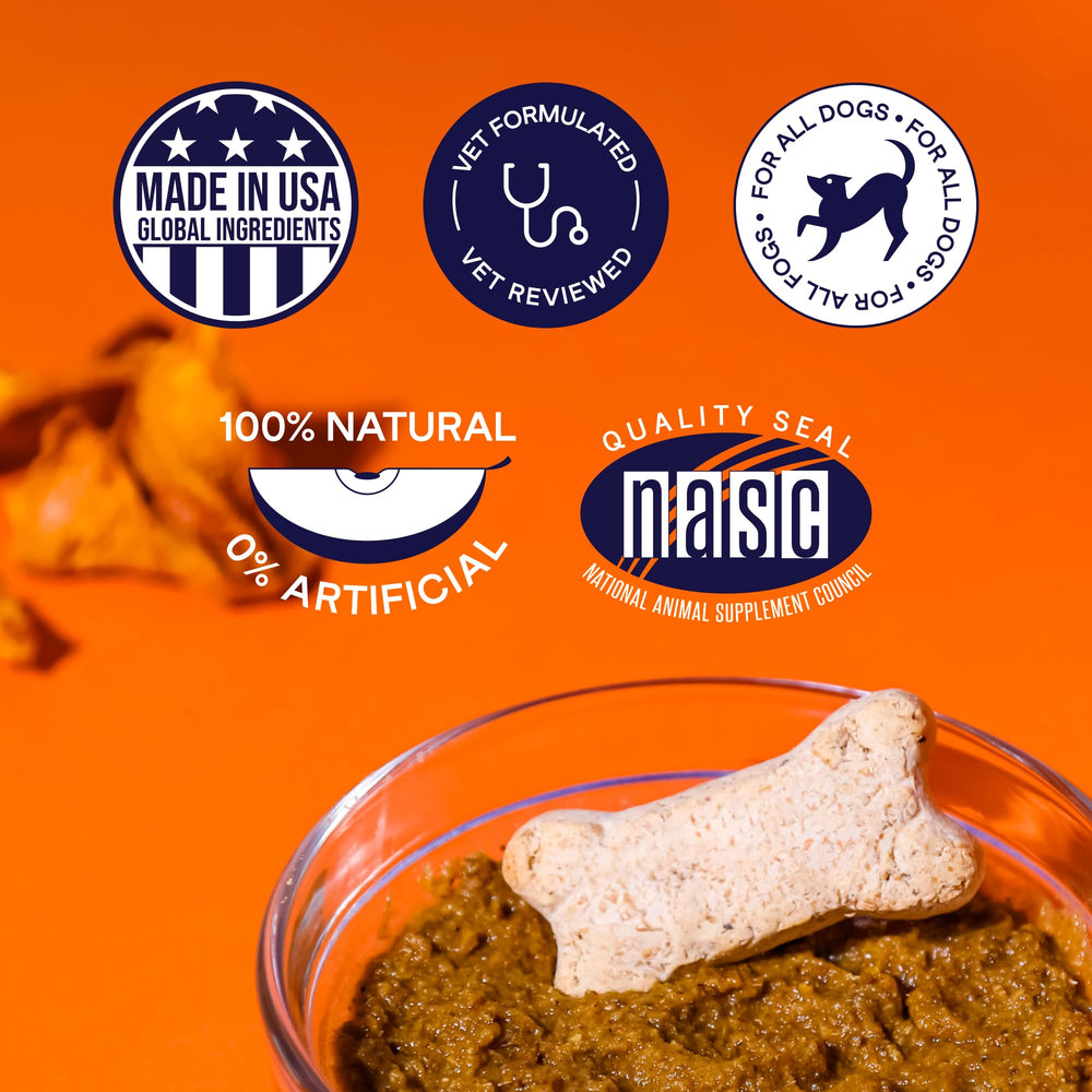 Finn Pumpkin Plus tummy-friendly recipe gentle on sensitive digestion.
