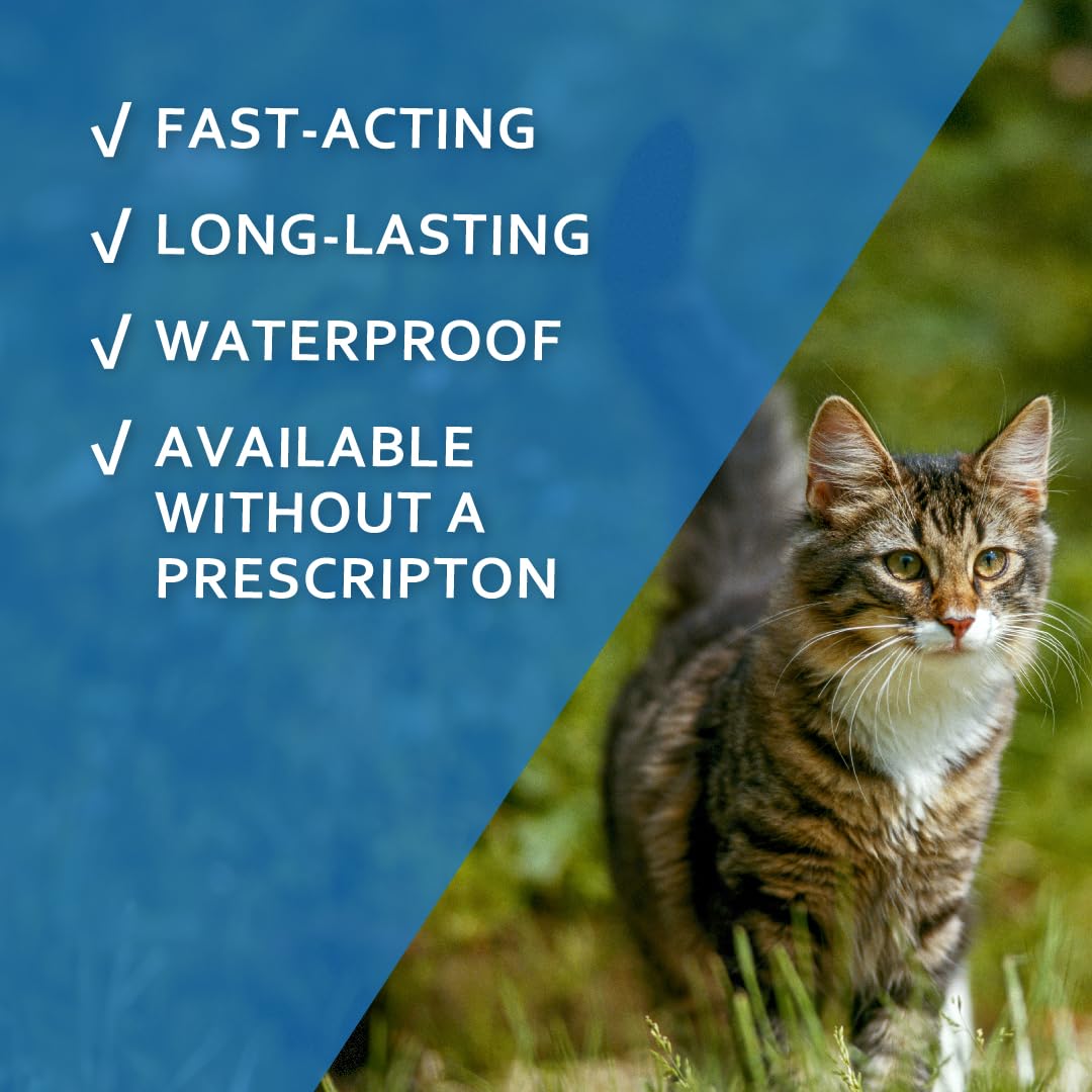 Fiproguard for cats on dry skin between the shoulder blades for application.