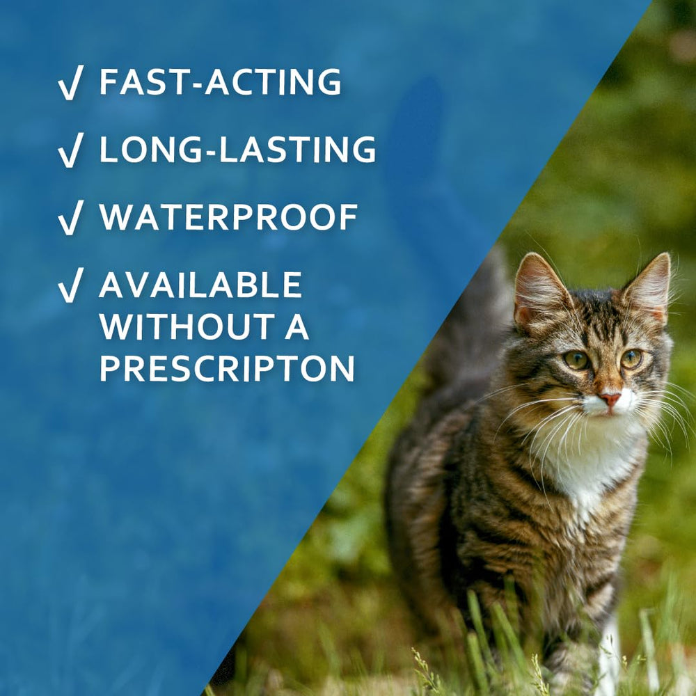 Fiproguard for cats on dry skin between the shoulder blades for application.