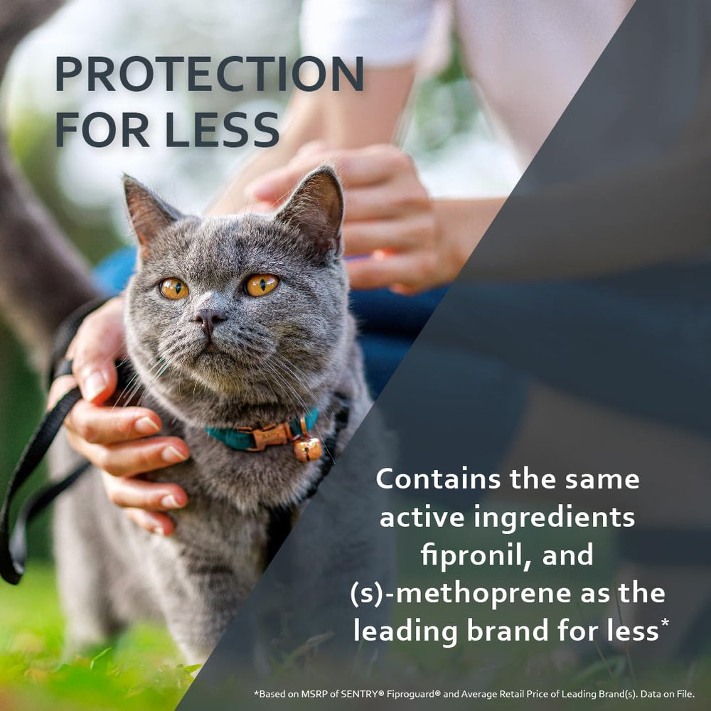 Fiproguard waterproof topical formula suitable for active cats.