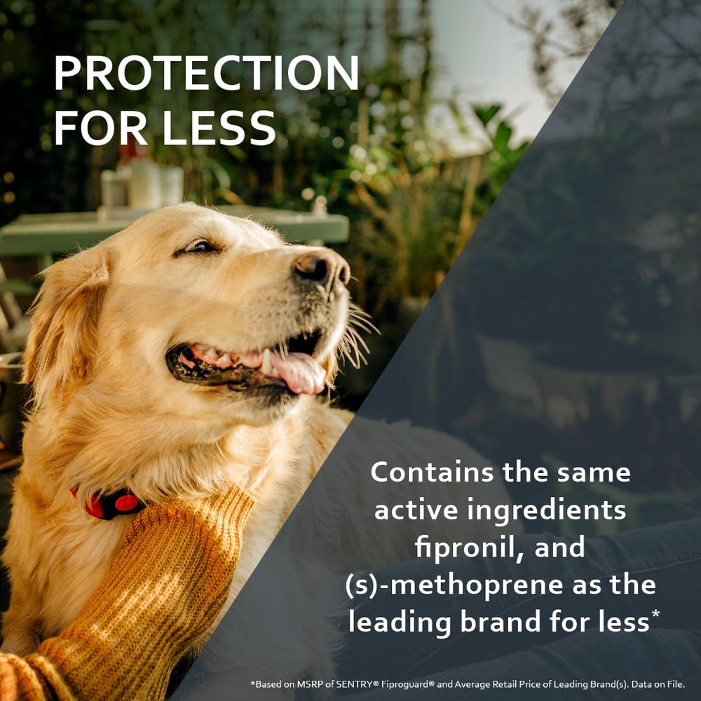 Fiproguard coverage against fleas, ticks, and chewing lice for dogs.