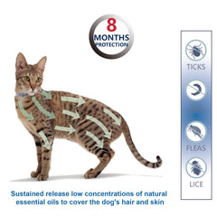 Fipukin grooming comb included with collar aids regular coat checks
