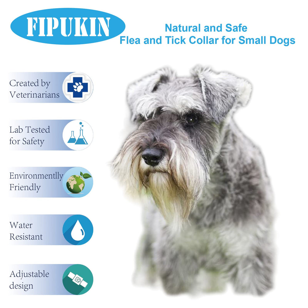 Fipukin grooming comb included in the bundle for daily care