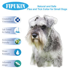 Fipukin grooming comb included in the bundle for daily care