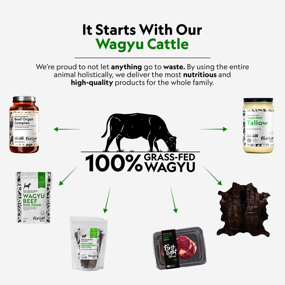 First Light Wagyu Liver treat used for positive reinforcement training.