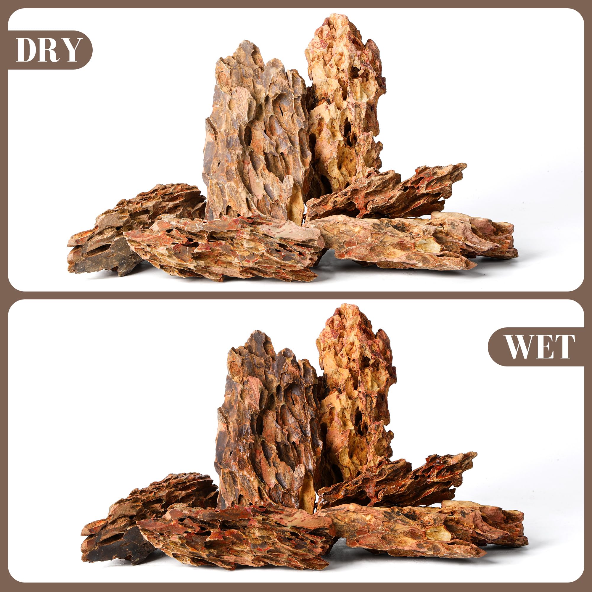 FISCAPE Dragon Stone natural variation adds character to terrariums