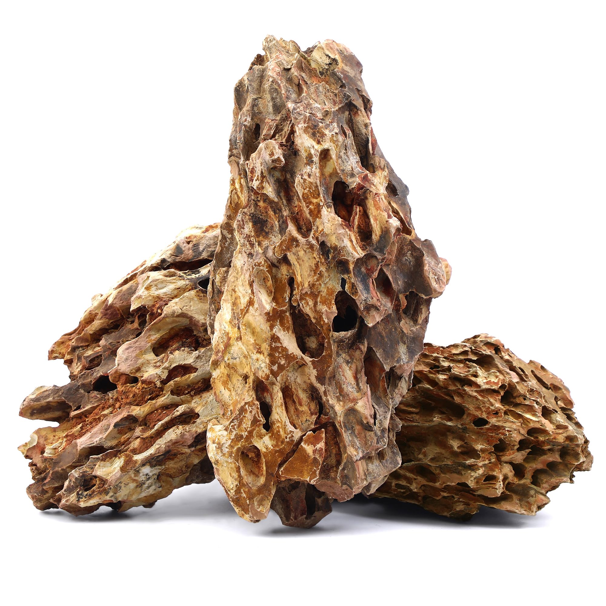 FISCAPE dragon stone extralarge texture enhances dramatic aquascapes