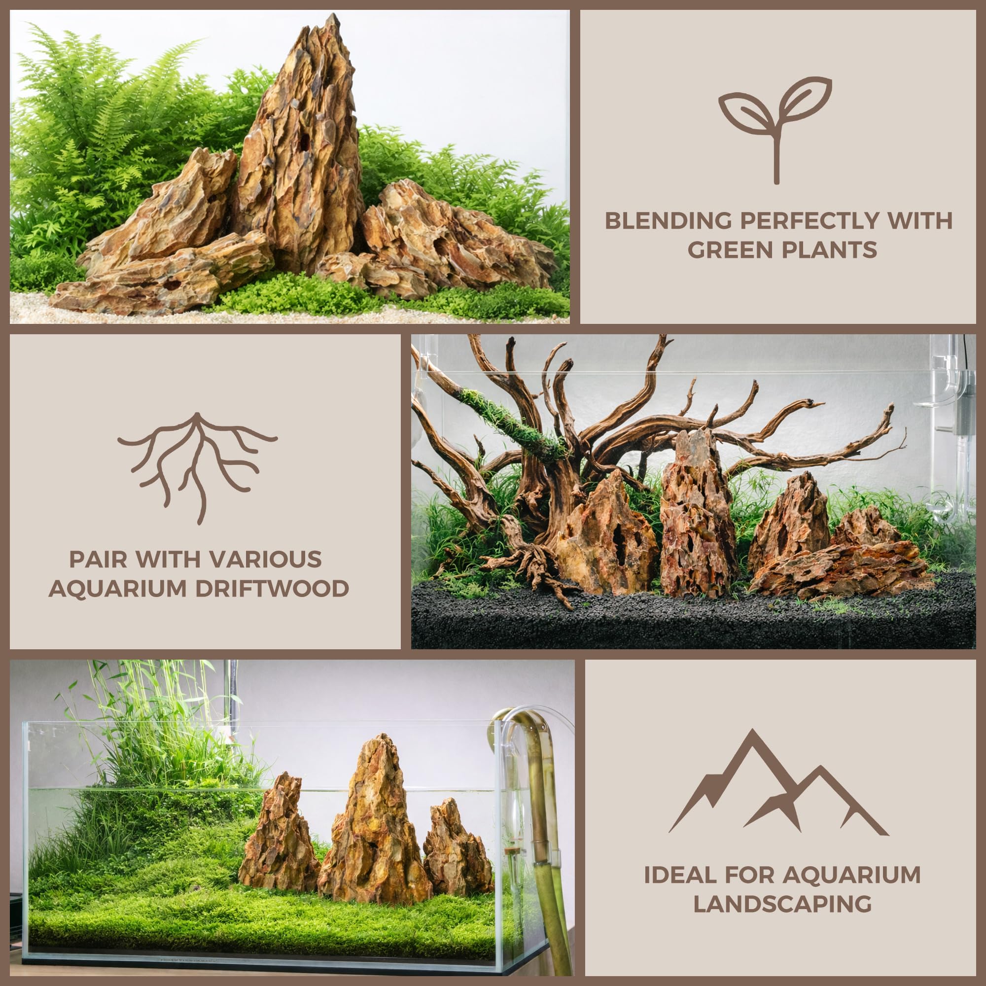 FISCAPE dragon stone mixed-sizes in a small terrarium layout