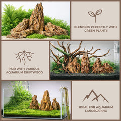 FISCAPE dragon stone mixed-sizes in a small terrarium layout