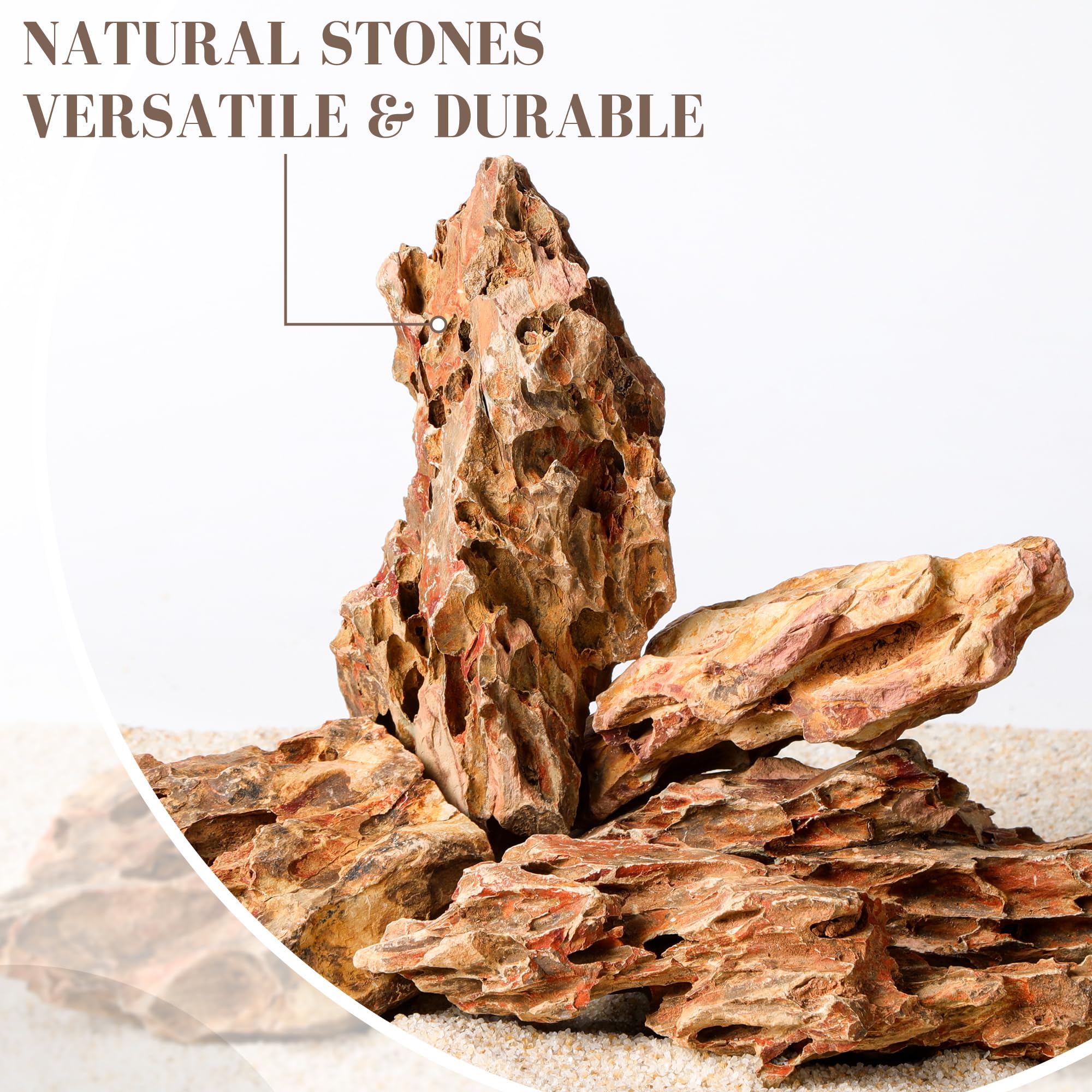 FISCAPE dragon stone mixed-sizes providing plant anchors in a tank