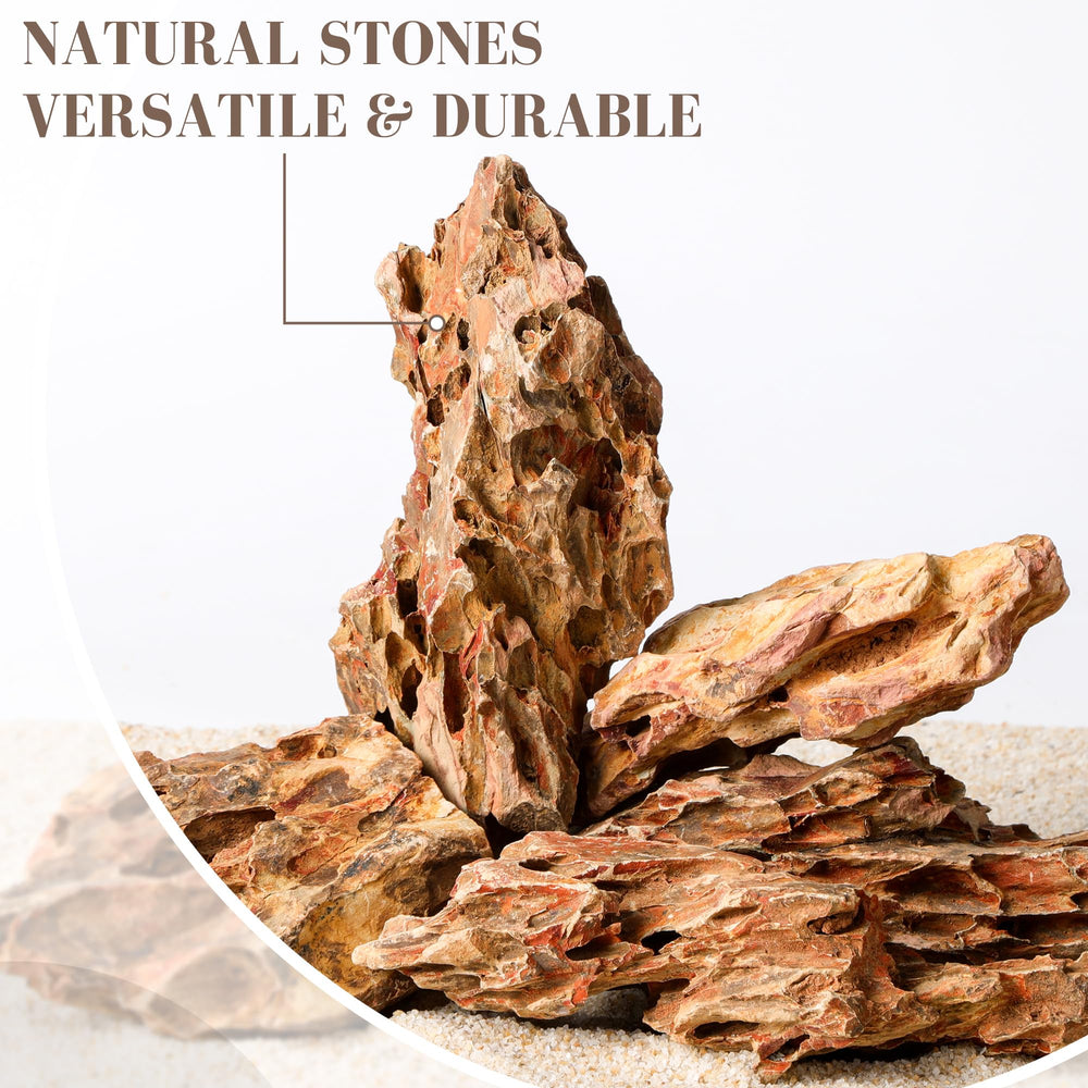 FISCAPE dragon stone mixed-sizes providing plant anchors in a tank