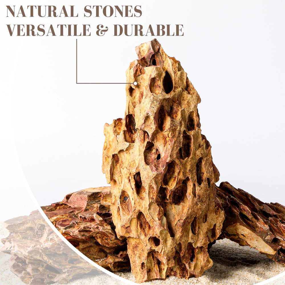 FISCAPE dragon stone terrarium use elevates natural habitats in terrariums