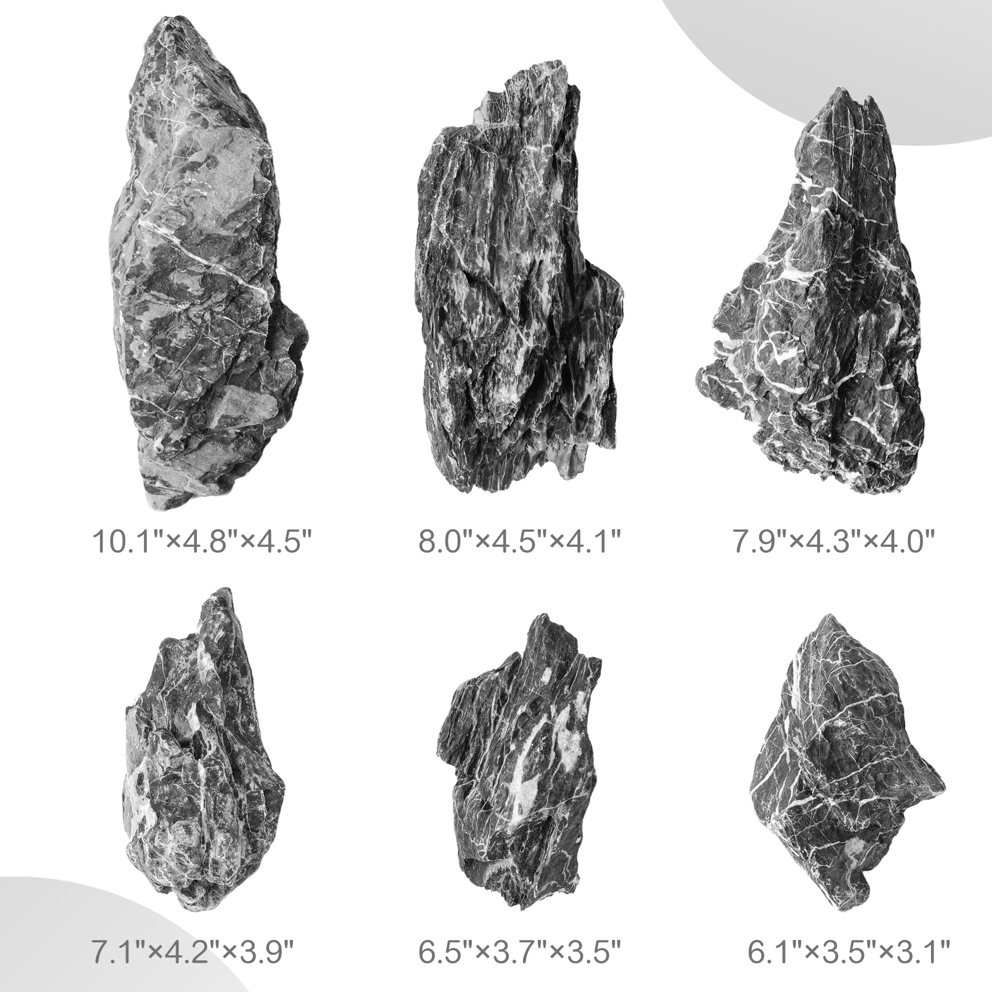 FISCAPE Seiryu stones arranged as a cohesive collection supports multi-piece aquascapes.