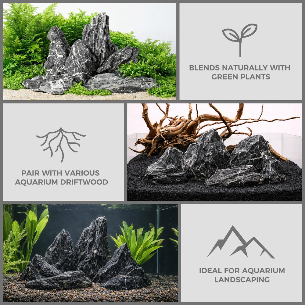 FISCAPE Seiryu stone decor suitable for terrariums and paludariums, not just aquariums.