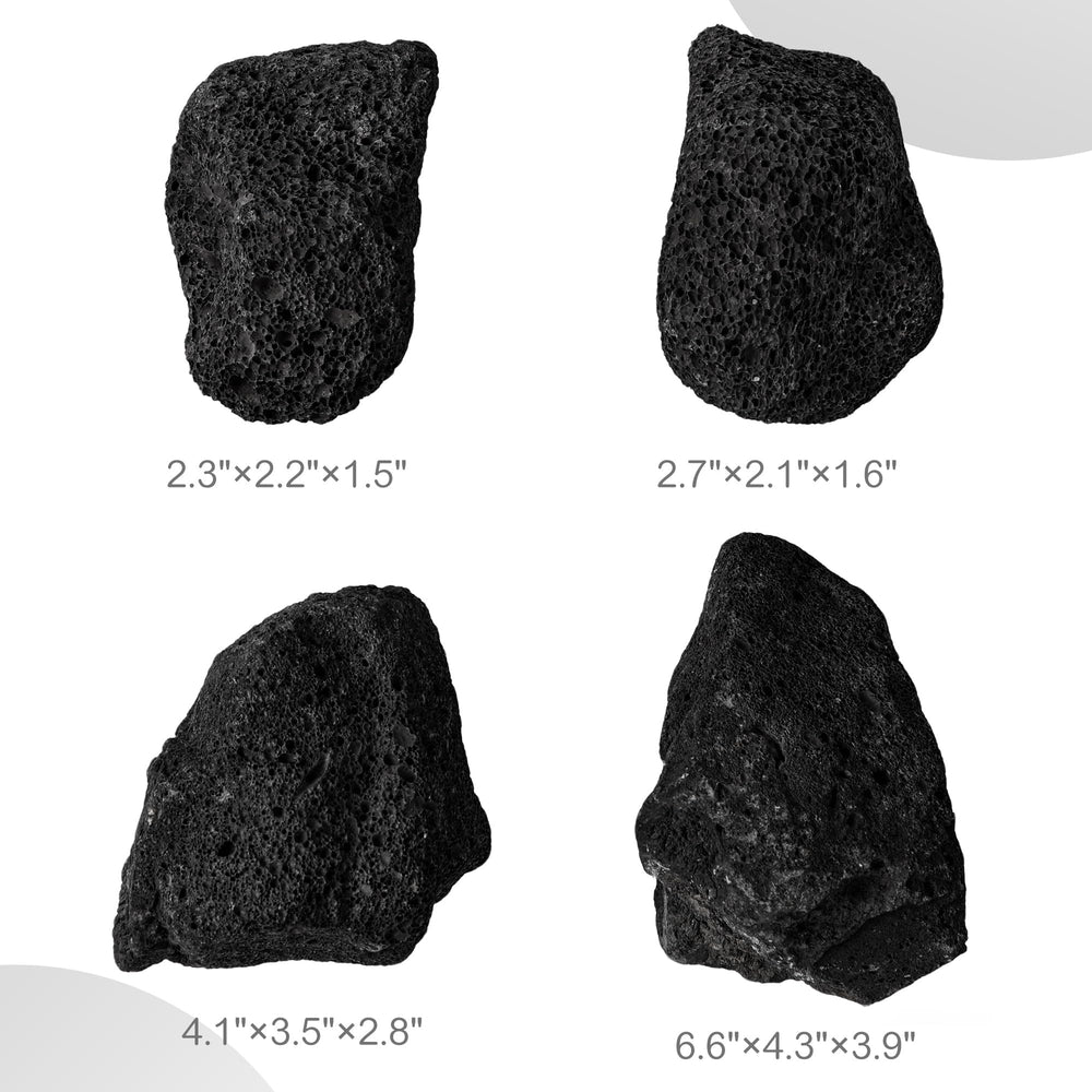 FISCAPE natural lava rock frame supports moss and plants in terrariums.