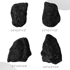 FISCAPE natural lava rock frame supports moss and plants in terrariums.