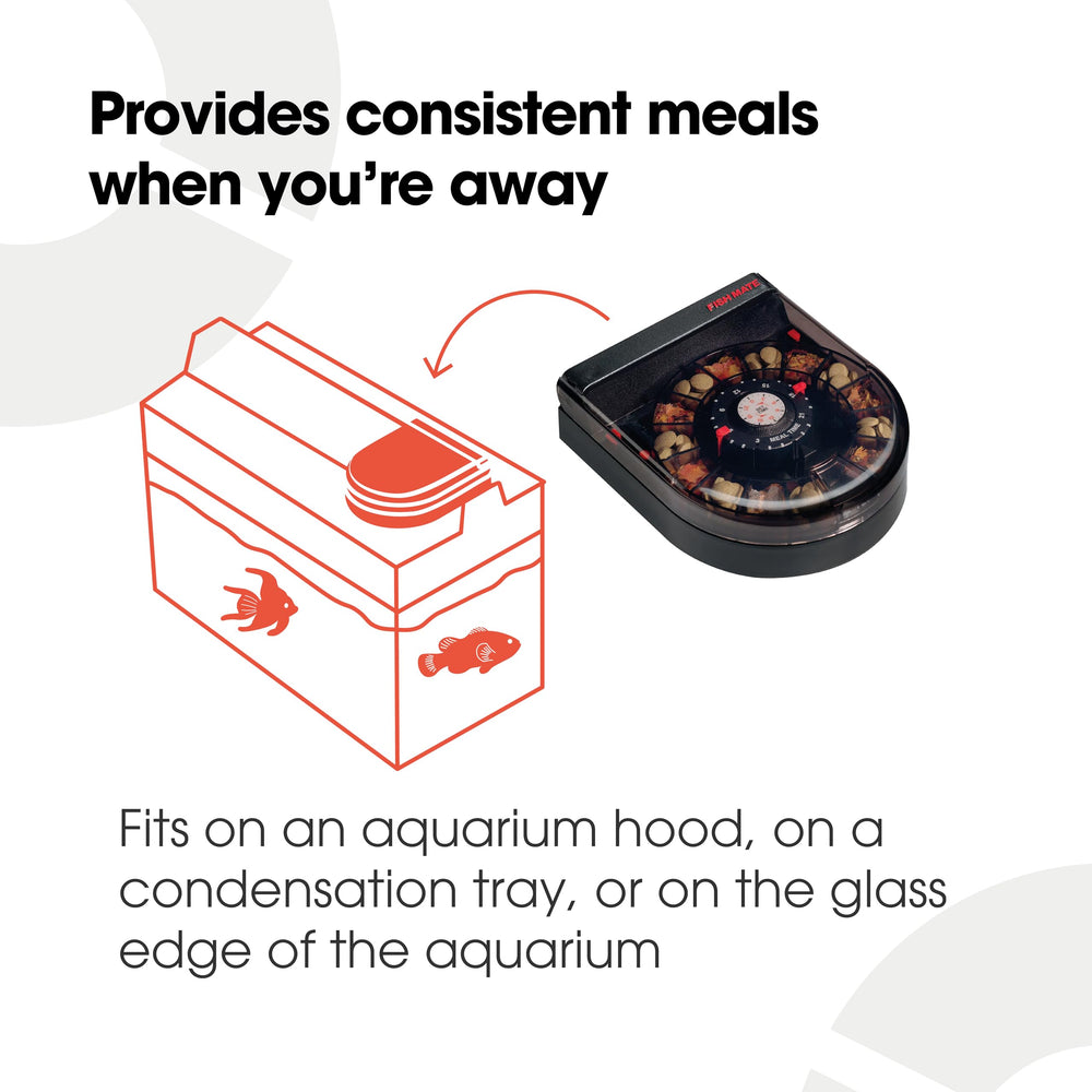 Fish Mate F14 portion-control illustrates gradual dispensing