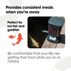 Fish Mate P7000 adjustable portions help prevent overfeeding and maintain water quality.