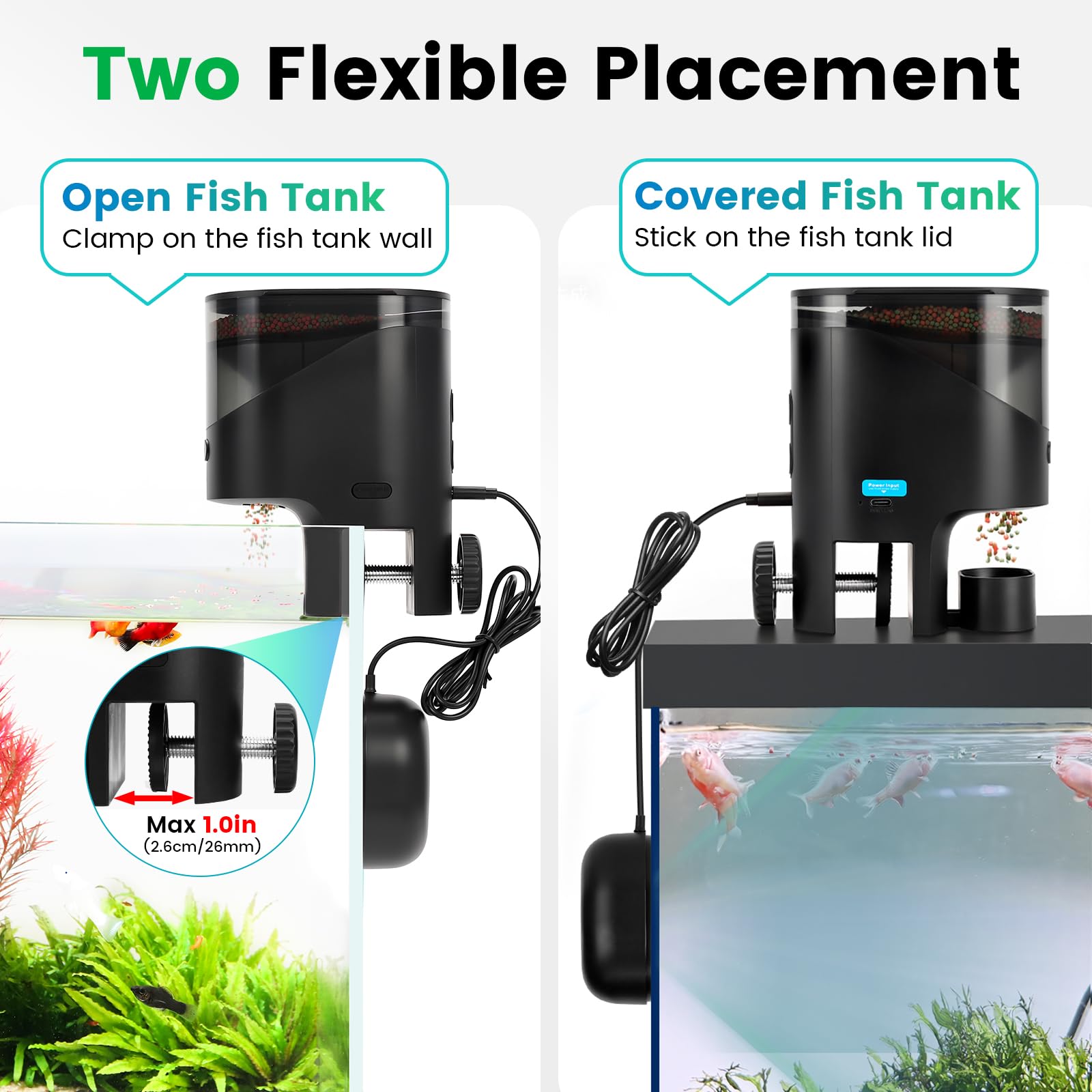 Fishkeeper 2.5K camera with night vision lets you observe feeding anytime.