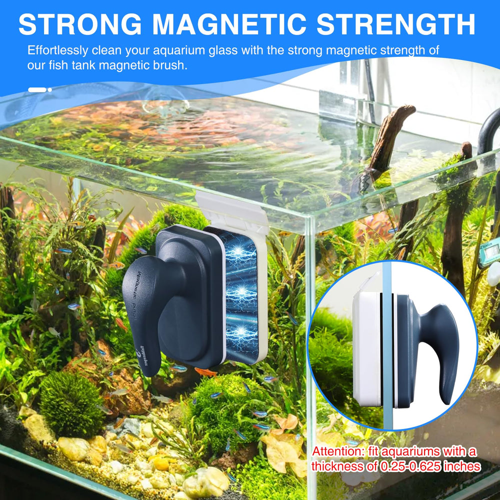 fishkeeper strong magnetic force cleaning algae on the tank surface