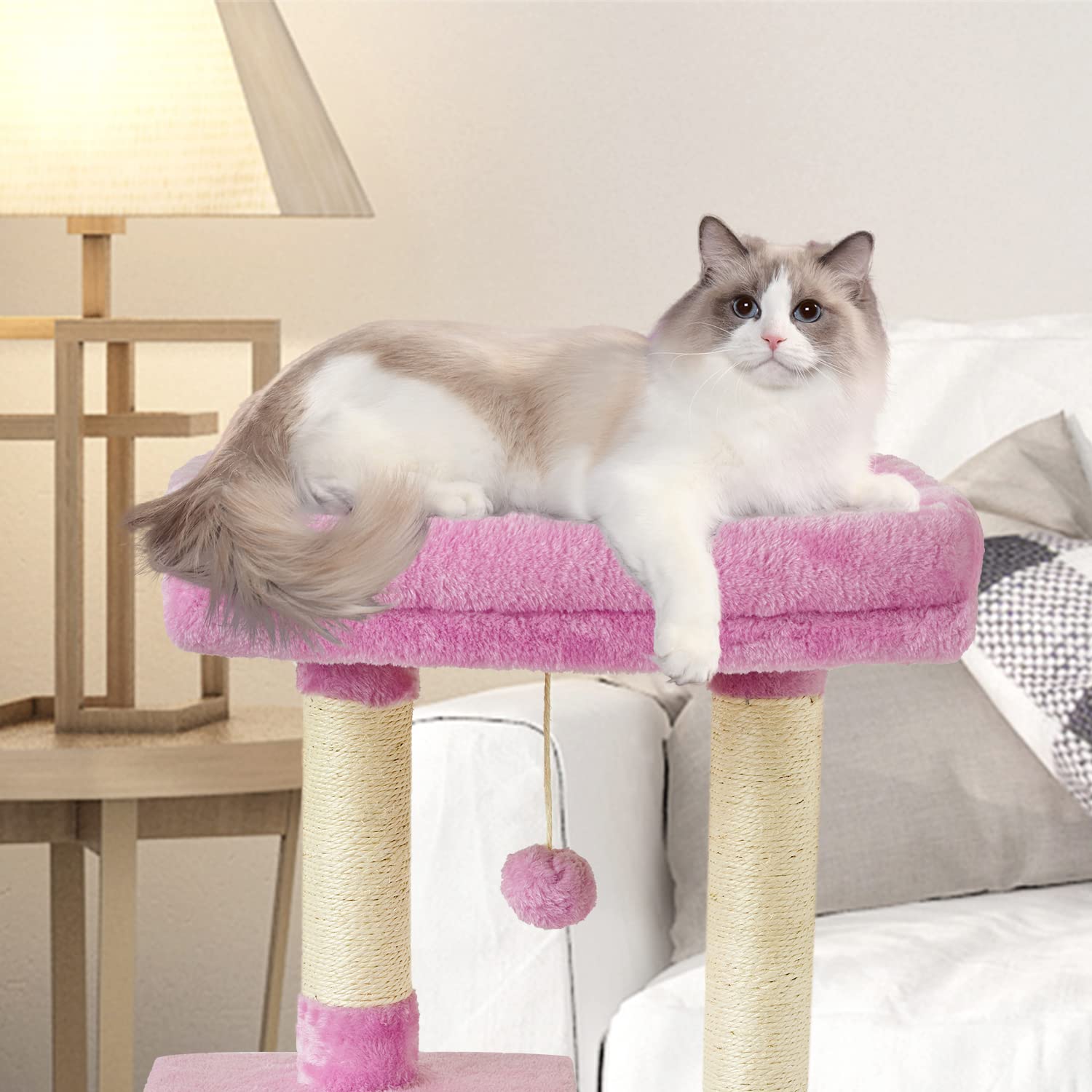 FISH&NAP cat condo with stable bottom offers secure high perch for cats.